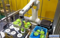 【增量市场盘点】食品工业机器人发展如火如荼